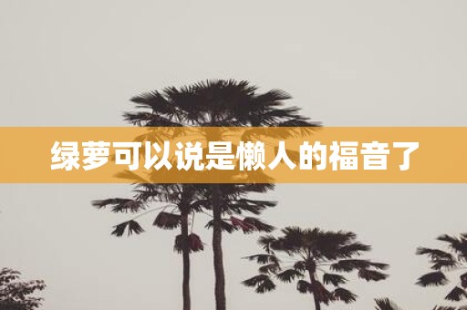 绿萝可以说是懒人的福音了