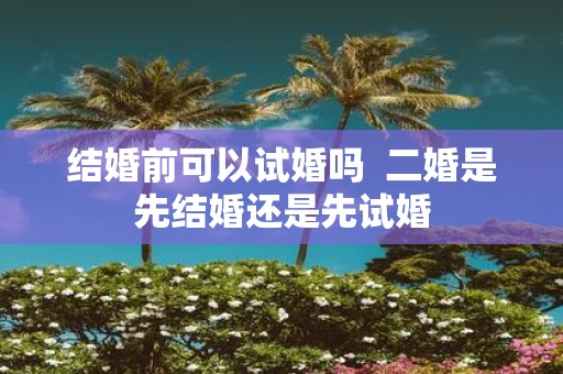 结婚前可以试婚吗 二婚是先结婚还是先试婚