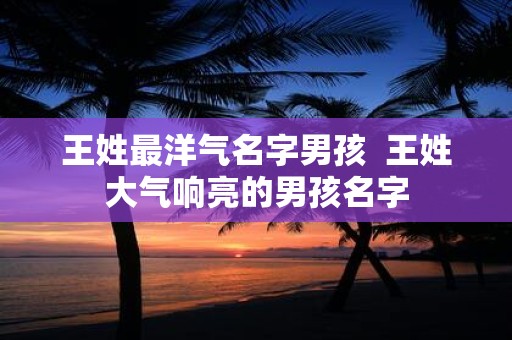 王姓最洋气名字男孩 王姓大气响亮的男孩名字