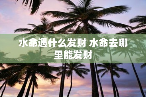 水命遇什么发财 水命去哪里能发财