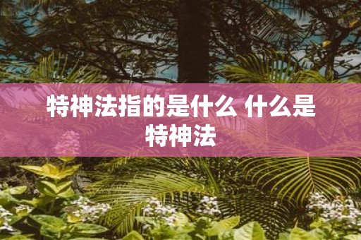 特神法指的是什么 什么是特神法