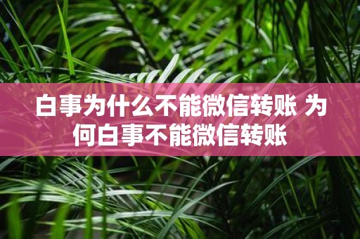 白事为什么不能微信转账 为何白事不能微信转账