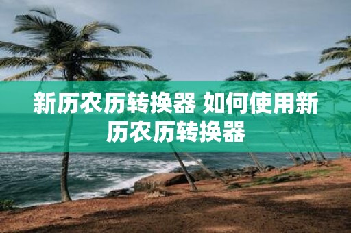 新历农历转换器 如何使用新历农历转换器