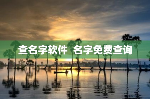 查名字软件 名字免费查询