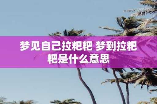 梦见自己拉粑粑 梦到拉粑粑是什么意思
