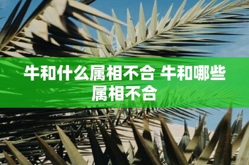 牛和什么属相不合 牛和哪些属相不合