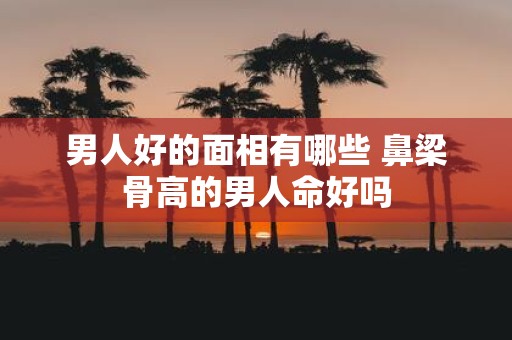 男人好的面相有哪些 鼻梁骨高的男人命好吗