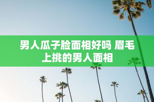 男人瓜子脸面相好吗 眉毛上挑的男人面相