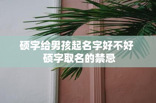 硕字给男孩起名字好不好 硕字取名的禁忌
