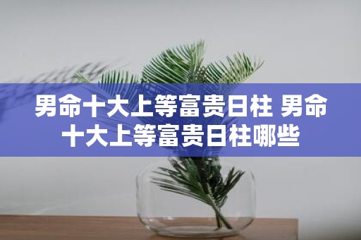 男命十大上等富贵日柱 男命十大上等富贵日柱哪些