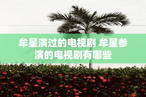 牟星演过的电视剧 牟星参演的电视剧有哪些