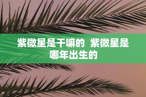紫微星是干嘛的 紫微星是哪年出生的