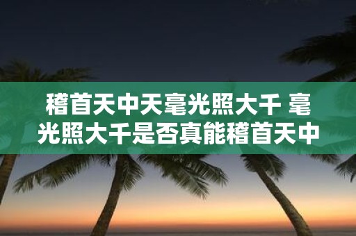 稽首天中天毫光照大千 毫光照大千是否真能稽首天中天