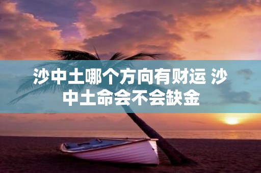 沙中土哪个方向有财运 沙中土命会不会缺金