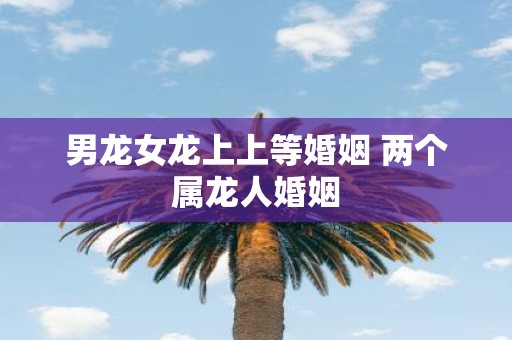 男龙女龙上上等婚姻 两个属龙人婚姻