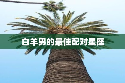 白羊男的最佳配对星座