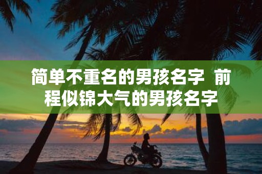 简单不重名的男孩名字 前程似锦大气的男孩名字