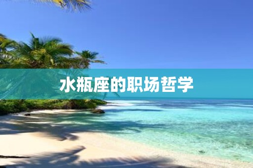 水瓶座的职场哲学