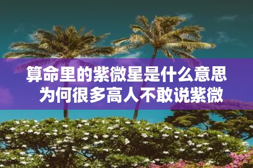 算命里的紫微星是什么意思 为何很多高人不敢说紫微星