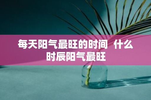 每天阳气最旺的时间 什么时辰阳气最旺