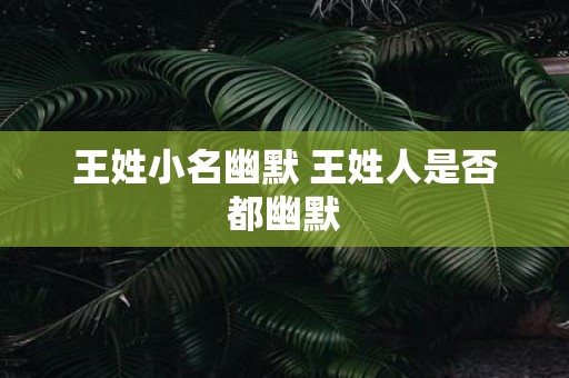 王姓小名幽默 王姓人是否都幽默
