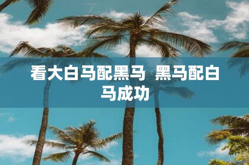 看大白马配黑马 黑马配白马成功
