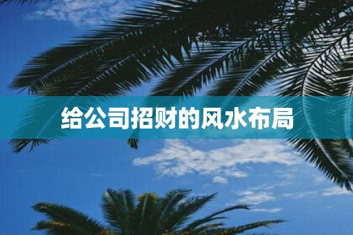 给公司招财的风水布局