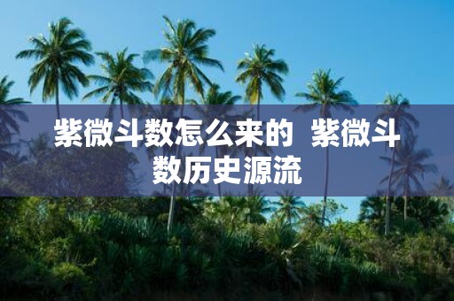 紫微斗数怎么来的 紫微斗数历史源流