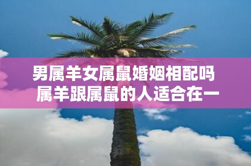 男属羊女属鼠婚姻相配吗 属羊跟属鼠的人适合在一起吗