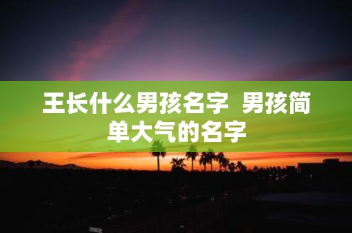 王长什么男孩名字 男孩简单大气的名字