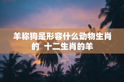 羊称狗是形容什么动物生肖的 十二生肖的羊