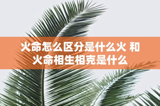 火命怎么区分是什么火 和火命相生相克是什么
