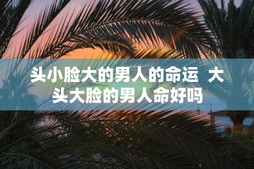 头小脸大的男人的命运 大头大脸的男人命好吗 头小脸大的男人的命运 大头大脸的男人命好吗