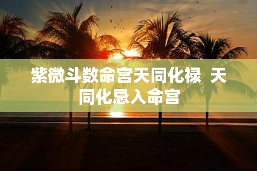 紫微斗数命宫天同化禄 天同化忌入命宫