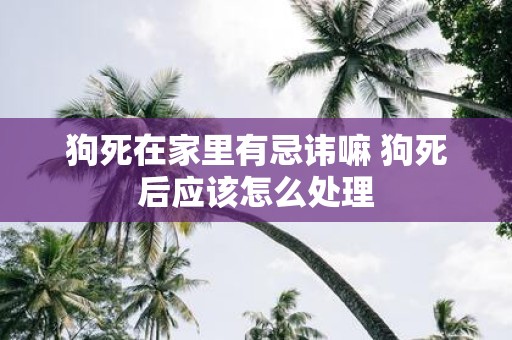 狗死在家里有忌讳嘛 狗死后应该怎么处理