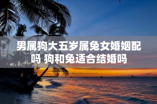 男属狗大五岁属兔女婚姻配吗 狗和兔适合结婚吗