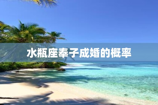 水瓶座奉子成婚的概率