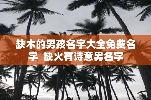 缺木的男孩名字大全免费名字 缺火有诗意男名字