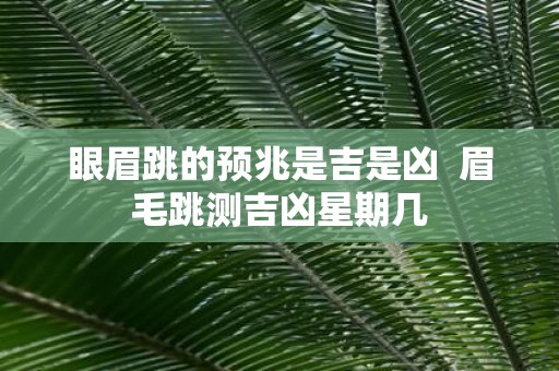 眼眉跳的预兆是吉是凶 眉毛跳测吉凶星期几