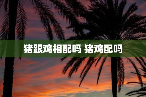 猪跟鸡相配吗 猪鸡配吗