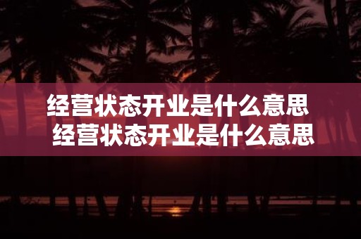 经营状态开业是什么意思  经营状态开业是什么意思