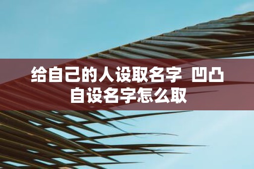 给自己的人设取名字 凹凸自设名字怎么取