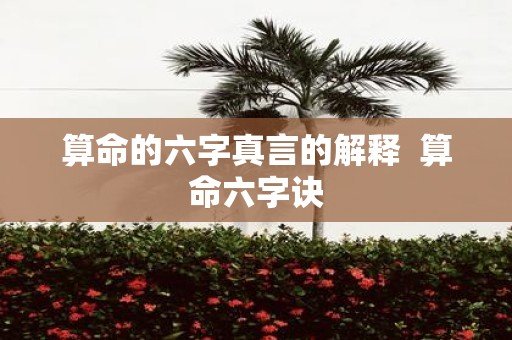 算命的六字真言的解释 算命六字诀
