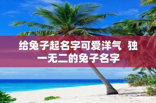 给兔子起名字可爱洋气 独一无二的兔子名字