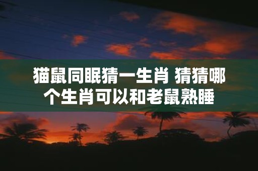 猫鼠同眠猜一生肖 猜猜哪个生肖可以和老鼠熟睡
