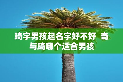 琦字男孩起名字好不好 奇与琦哪个适合男孩