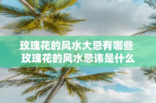 玫瑰花的风水大忌有哪些 玫瑰花的风水忌讳是什么
