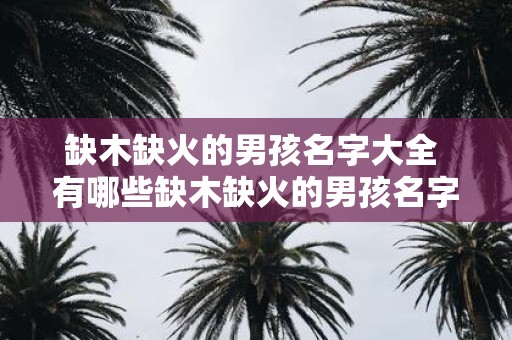 缺木缺火的男孩名字大全 有哪些缺木缺火的男孩名字