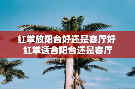 红掌放阳台好还是客厅好 红掌适合阳台还是客厅