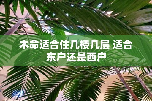 木命适合住几楼几层 适合东户还是西户